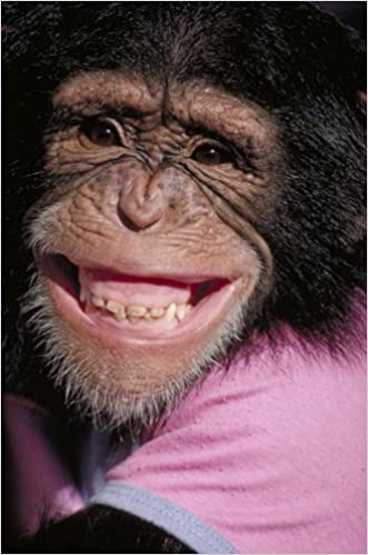 Livro PDF: Os Chimpanzes Sonham Em Se Aposentar?