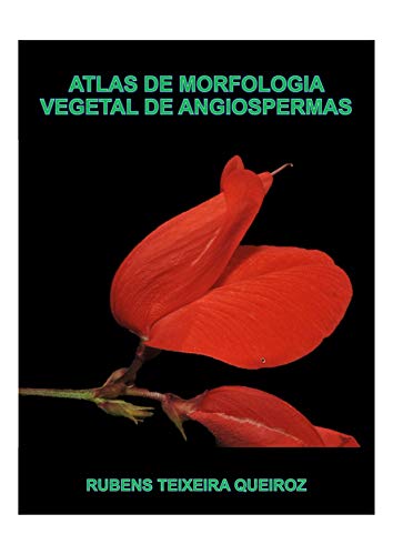 Livro PDF: Atlas de morfologia vegetal de angiospermas