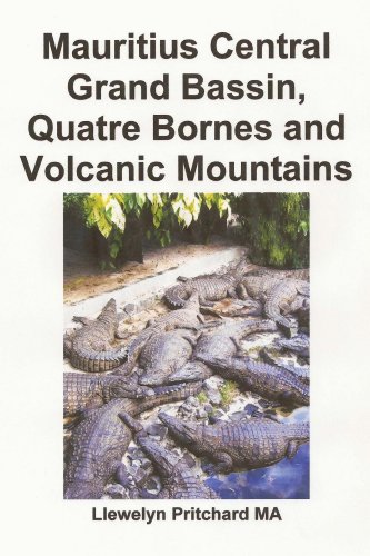 Livro PDF Mauritius Central Grand Bassin, Quatre Bornes and Volcanic Mountains: Uma Lembranca Colecao de fotografias coloridas com legendas (Foto Albuns Livro 12)