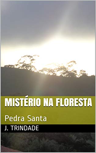 Capa do livro: Mistério na Floresta: Pedra Santa - Ler Online pdf