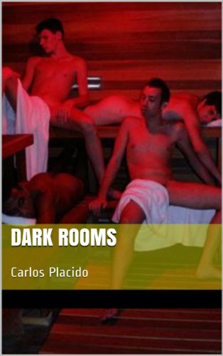 Livro PDF: Dark Rooms