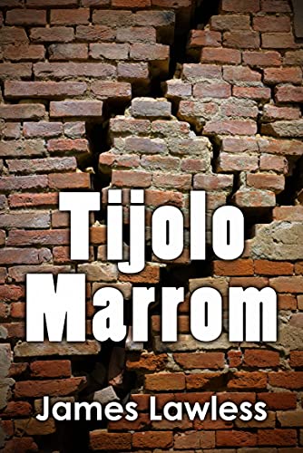 Livro PDF: Tijolo Marrom: Por que o misterioso Sr. Washington destrói lentamente uma casa no subúrbio?