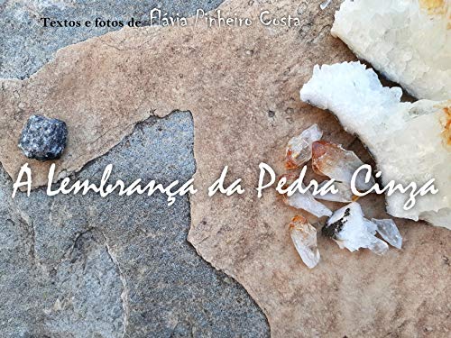 Livro PDF: A Lembrança da Pedra Cinza