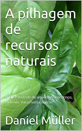 Capa do livro: A pilhagem de recursos naturais: Análise da rede de aqüíferos argentinos, Hidrovía. Vaca morta. outros - Ler Online pdf