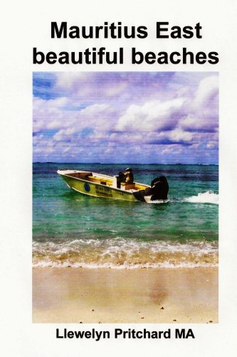 Livro PDF Mauritius East beautiful beaches: Uma Lembranca Colecao de coloridas fotografias com legendas (Foto Albuns Livro 10)