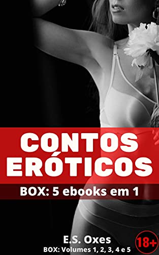 Livro PDF: Contos Eróticos: BOX: 5 em 1 (24 histórias adultas quentíssimas) (Contos Eróticos – Oxes)