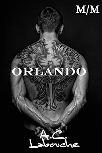 Livro PDF: Orlando: M/M (Combatente Livro 4)