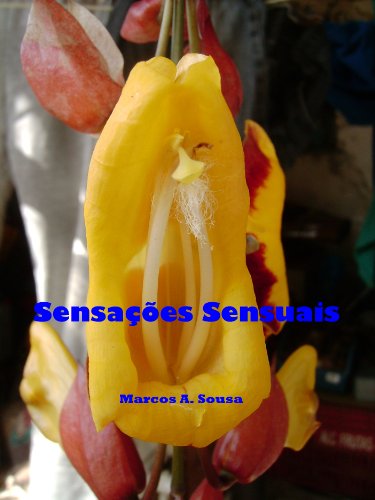 Livro PDF: Sensações sensuais
