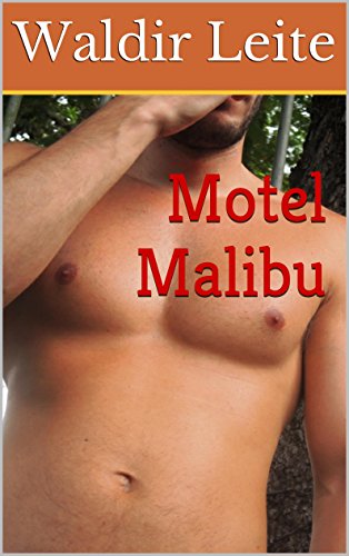 Capa do livro: Motel Malibu - Ler Online pdf