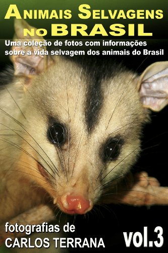 Capa do livro: ANIMAIS SELVAGENS NO BRASIL – uma coleção de fotografias com informações sobre a vida e costumes dos animais do Brasil – VOL.3 (ANIMAIS SELVAGENS DO BRASIL) - Ler Online pdf