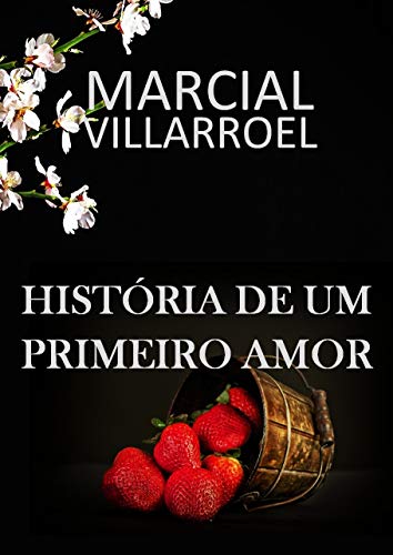 Capa do livro: HISTÓRIA DE UM PRIMEIRO AMOR - Ler Online pdf