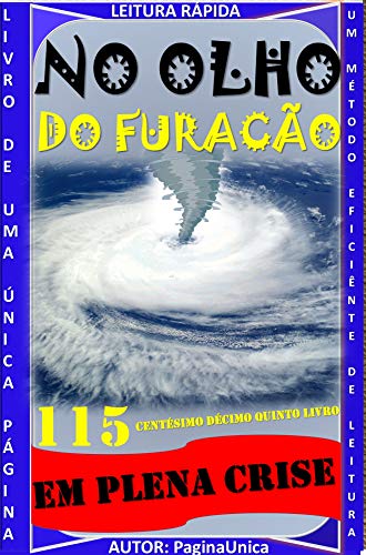 Livro PDF: NO OLHO DO FURACÃO : EM PLENA CRISE