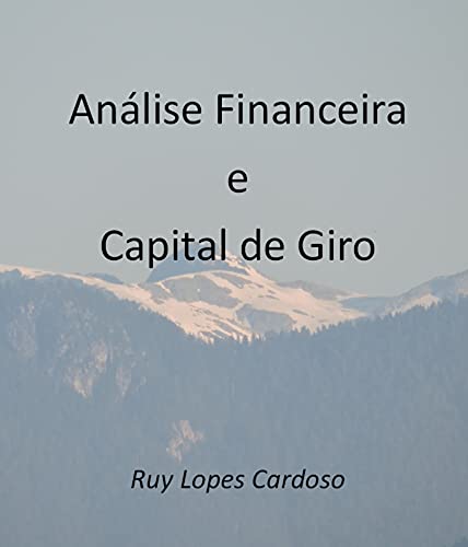 Livro PDF: Análise Financeira e Capital de Giro: Indicadores Financeiros