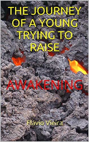 Livro PDF THE JOURNEY OF A YOUNG TRYING TO RAISE: AWAKENING