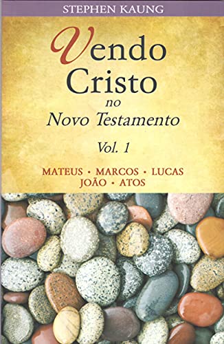 Livro PDF Vendo Cristo no Novo Testamento: Matheus • Marcos • Lucas • João • Atos