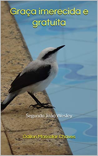 Capa do livro: Graça imerecida e gratuita: Segundo João Wesley - Ler Online pdf