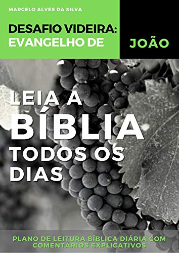 Livro PDF: Leia a Bíblia todos os dias: Evangelho de João – plano de leitura bíblica diária com comentários explicativos: Desafio Videira.