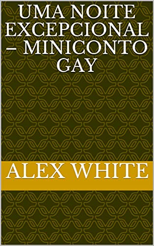Livro PDF Uma noite excepcional – miniconto gay