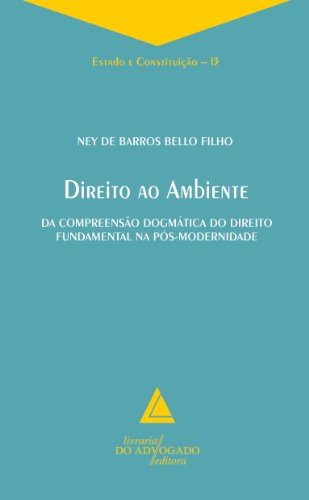 Livro PDF: Direito Ao Ambiente Da Compreensão Dogmática Do Direito Fundamental Na Pós-Modernidade:: Estado e Constituição – 13