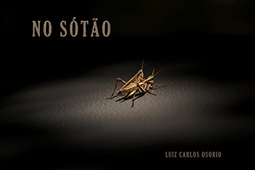 Capa do livro: No Sótão - Ler Online pdf