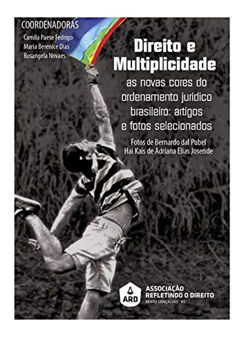 Capa do livro: Direito e Multiplicidade: As novas cores do ordenamento jurídico brasileiro - Ler Online pdf