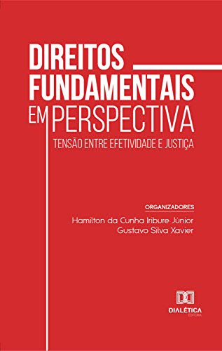 Livro PDF Direitos fundamentais em perspectiva: tensão entre efetividade e justiça