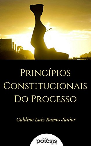 Capa do livro: Princípios Constitucionais do Processo: Visão Crítica (Segredos Jurídicos Livro 4) - Ler Online pdf
