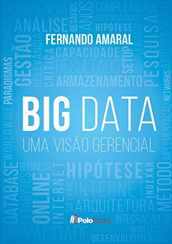 Livro PDF Big Data: Uma Visão Gerencial: Para Executivos, Consultores e Gerentes de Projetos