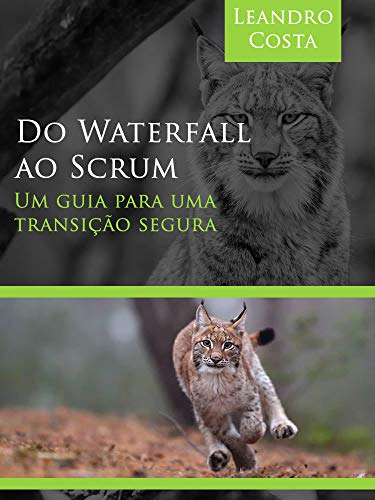 Capa do livro: Do Waterfall ao Scrum: Um guia para uma transição segura - Ler Online pdf