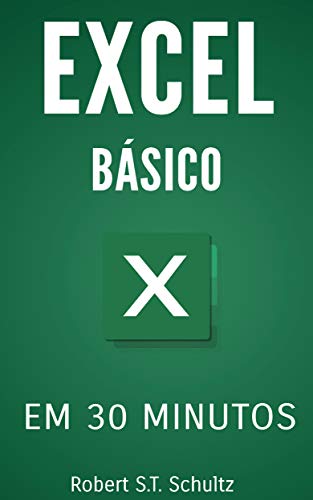 Capa do livro: Excel Básico: Em 30 Minutos - Ler Online pdf