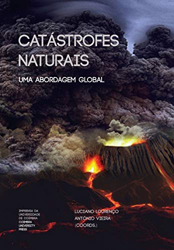 Capa do livro: Catástrofes Naturais: Uma abordagem global (Riscos e Catástrofes Livro 7) - Ler Online pdf