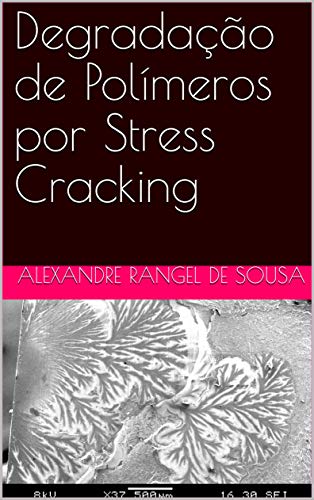 Capa do livro: Degradação de Polímeros por Stress Cracking - Ler Online pdf