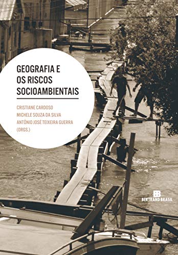 Capa do livro: Geografia e os riscos socioambientais - Ler Online pdf