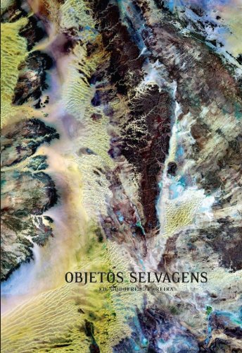 Livro PDF: Objetos Selvagens
