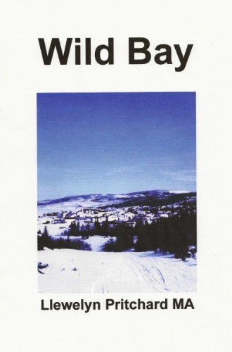 Livro PDF: Wild Bay (Port Hope Simpson Mistérios Livro 6)