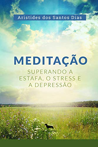 Livro PDF Meditação: Superando a estafa, o stress e a depressão