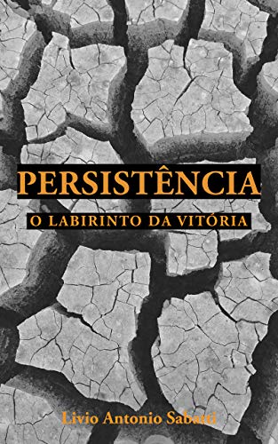 Capa do livro: PERSISTÊNCIA: O Labirinto da Vitória - Ler Online pdf