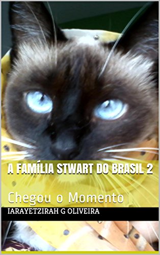 Livro PDF: A Família Stwart do Brasil 2: Chegou o Momento (Cat’s history)