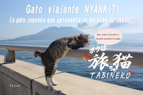 Capa do livro: Gato viajante NYANKITI - Ler Online pdf