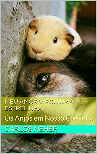 Capa do livro: Meu Amor Virou Uma Estrelinha: Os Anjos em Nosso Caminho - Ler Online pdf
