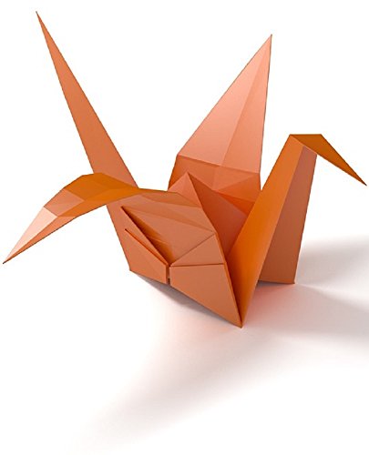 Livro PDF: Origami: Papel Origami: dobradura de papel: Origami simples: Instruções de Origami: Como fazer Origami: Como Fazer Origami Flowers: Tudo o Que Você Precisa Saber