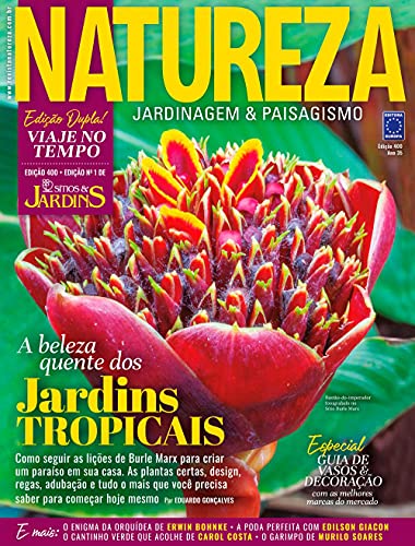 Capa do livro: Revista Natureza 400 - Ler Online pdf
