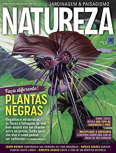 Capa do livro: Revista Natureza 401 - Ler Online pdf