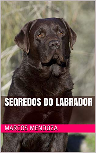 Capa do livro: Segredos do Labrador - Ler Online pdf