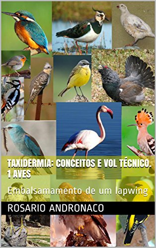 Livro PDF: Taxidermia: conceitos e VOL TÉCNICO. 1 AVES: Embalsamamento de um lapwing