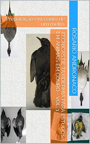 Livro PDF: Técnicas de taxidermia Para estudos em animais Em couro – Vol. 1: Preparação em couro de um melro. (Uccelli in pelle)