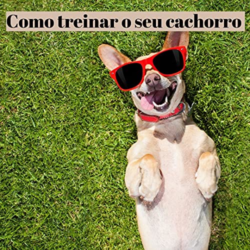 Capa do livro: Treinando meu cachorro no conforto da minha Casa : Se você ama seu Dog, você precisa ver isso! - Ler Online pdf