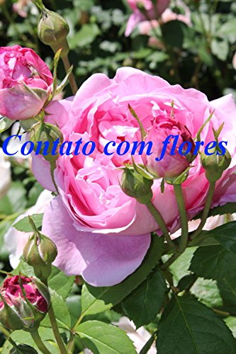 Capa do livro: Contato com flores - Ler Online pdf