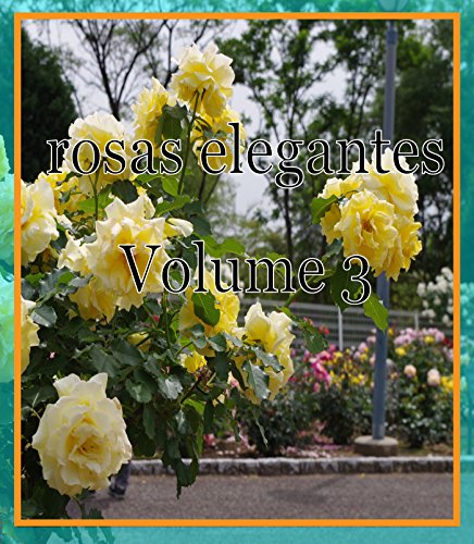 Livro PDF rosas elegantes Volume 3