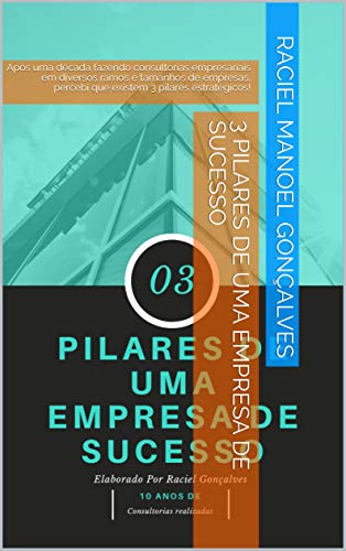 Livro PDF 3 Pilares de uma empresa de sucesso: Após uma década fazendo consultorias empresariais em diversos ramos e tamanhos de empresas, percebi que existem 3 pilares estratégicos!